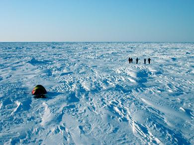 Photo: Camilla Svensen